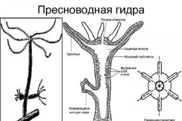 Русские онион сайты