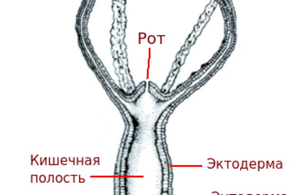 Tor сайт кракен kraken ssylka onion com