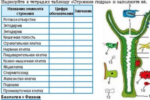 Как оплачивать на меге с киви кошелька