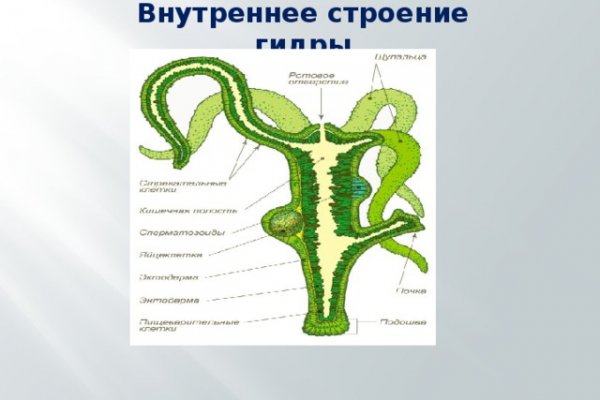 Kraken зеркало рабочее анион