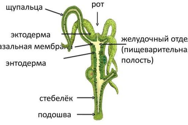 Перевод биткоинов на блэкспрут